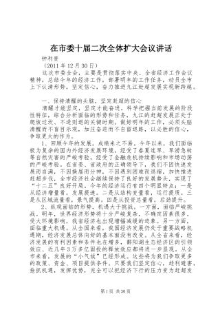 在市委十届二次全体扩大会议讲话发言