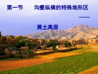 《黄土高原》