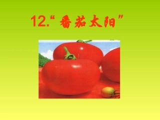 《番茄太阳》课件