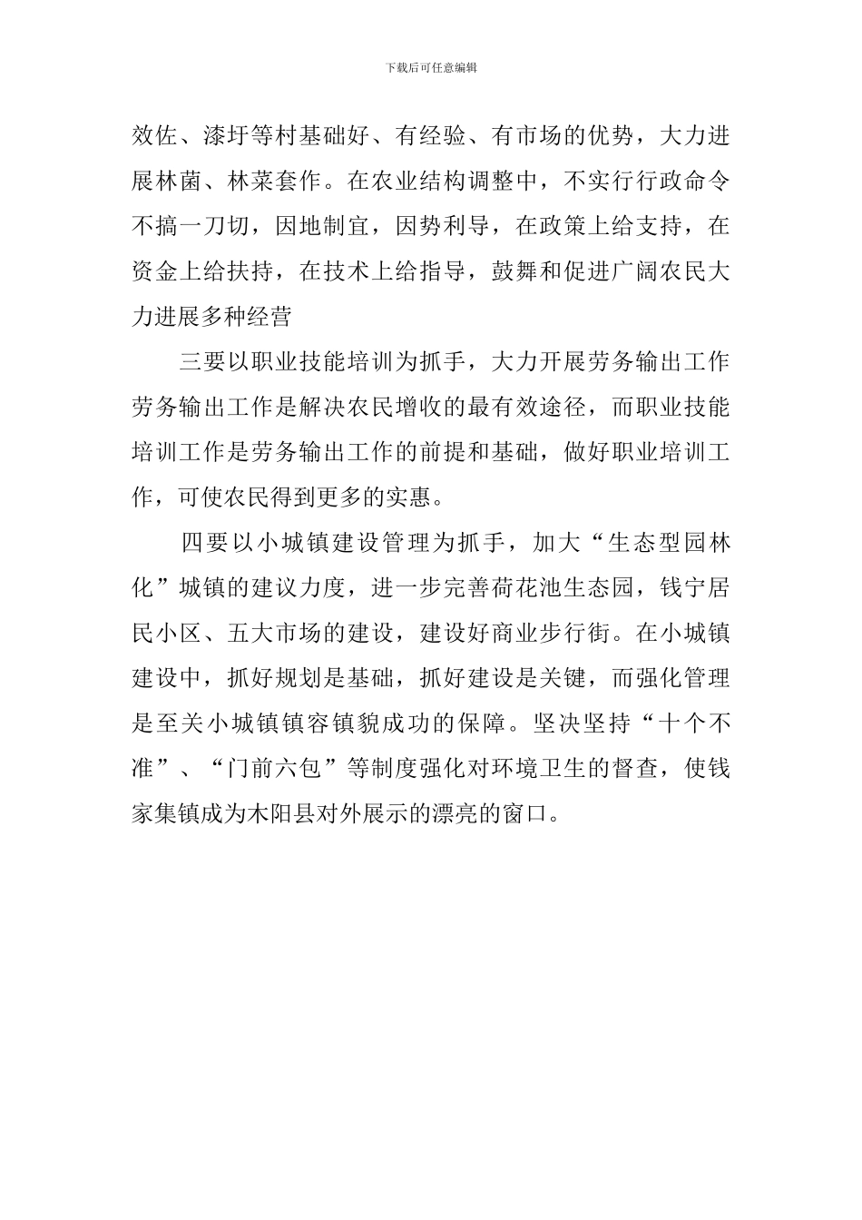 竞选乡镇镇长的演讲稿_第3页