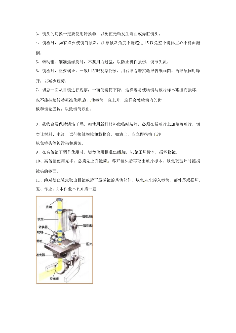 浙江省温州市龙湾区实验中学七年级科学上册 2.2 细胞（第2课时）教案 浙教版_第2页