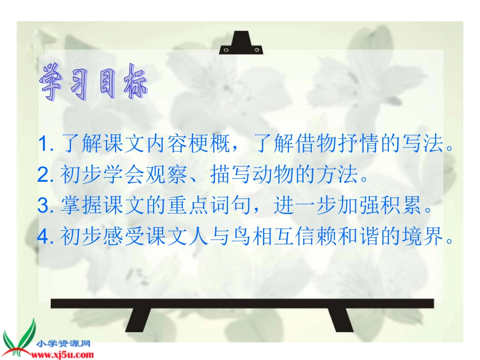 珍珠鸟 (2)_第2页