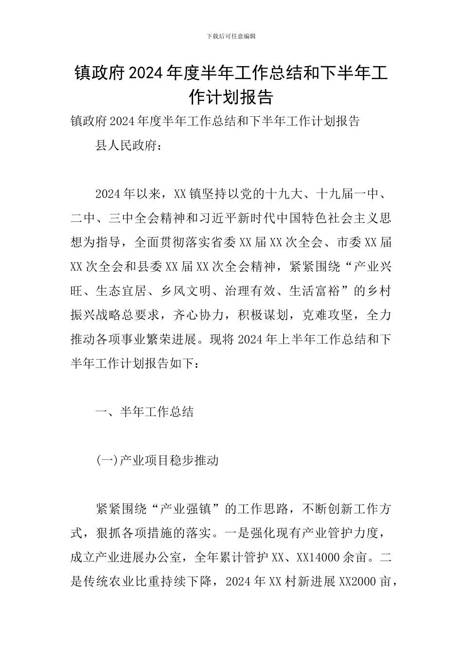 镇政府2024年度半年工作总结和下半年工作计划报告_第1页