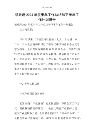 镇政府2024年度半年工作总结和下半年工作计划报告