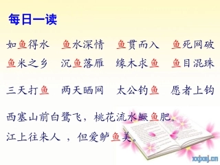 《热带鱼》教学课件