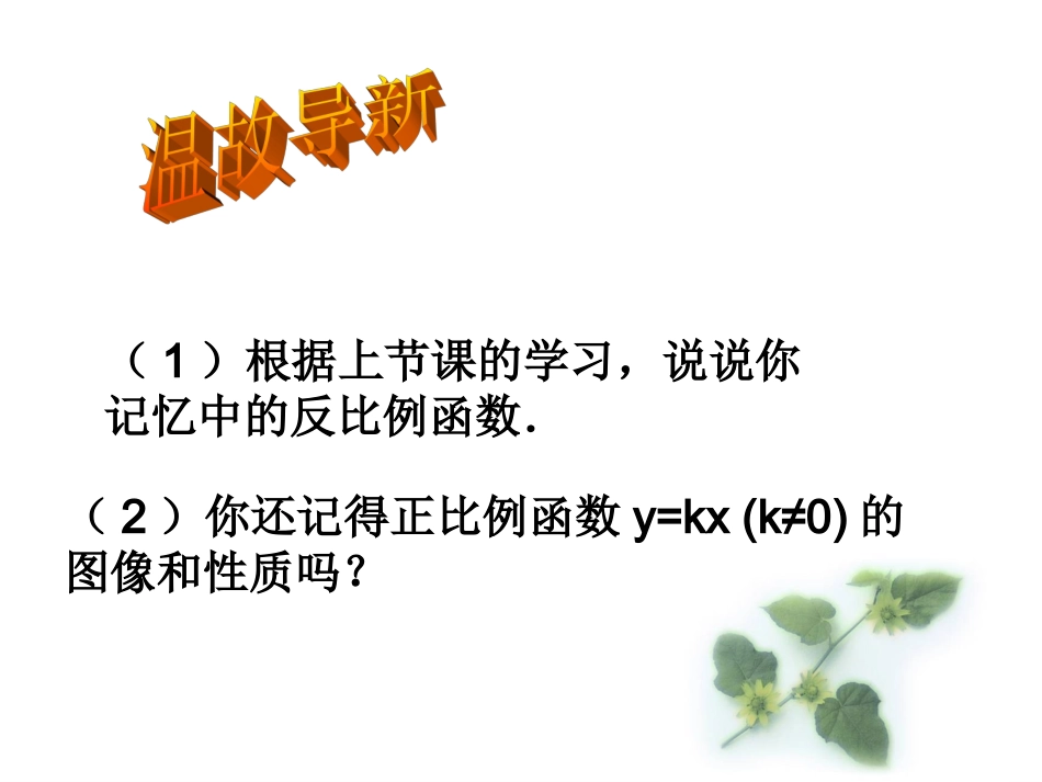 反比例函数的图象和性质上课课件_第2页