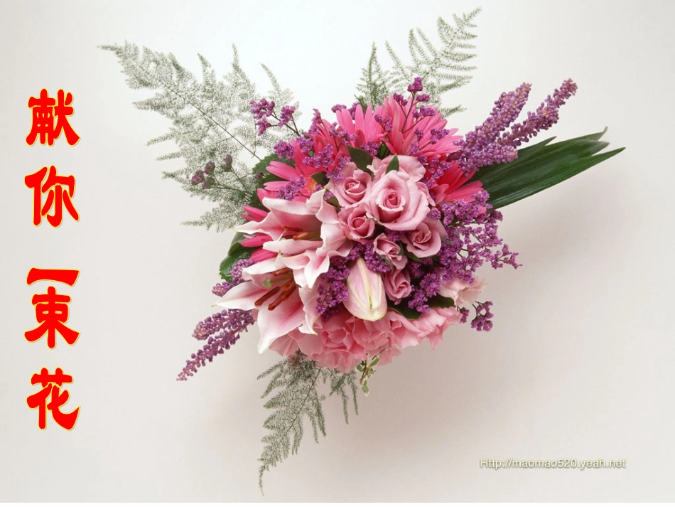 《献你一束花》课件_第2页