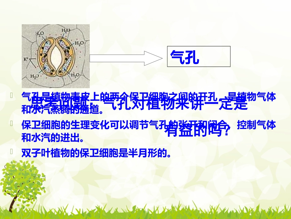 用显微镜观察身边的生命世界二_第3页