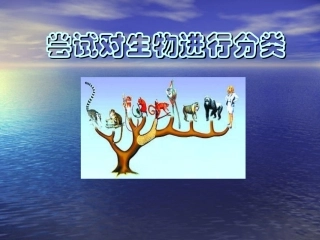 人教新课标版初中八上第六单元11尝试对生物进行分类课件2