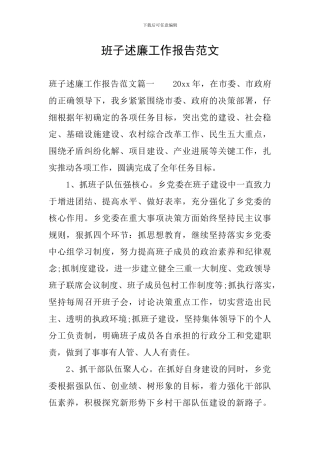 班子述廉工作报告范文