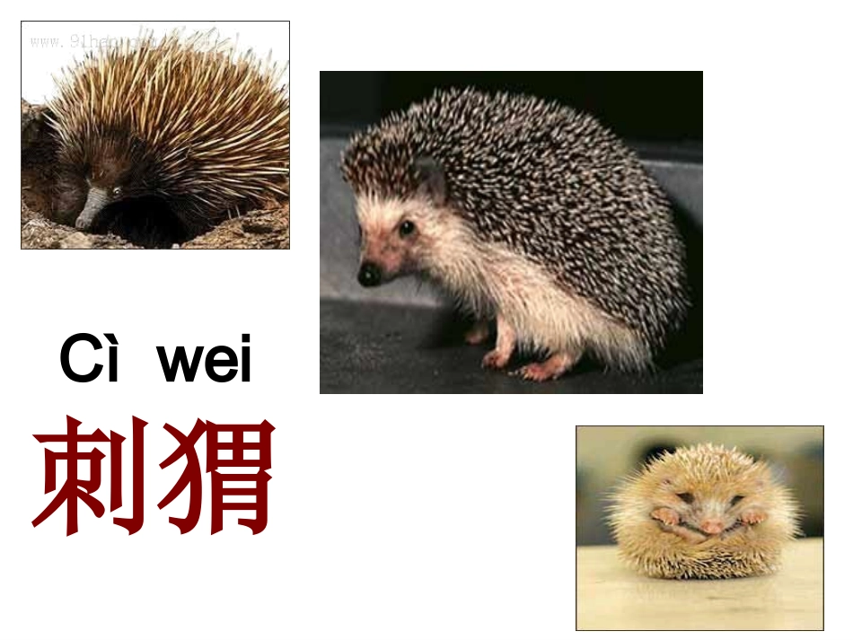 称赞课件PPT_第3页