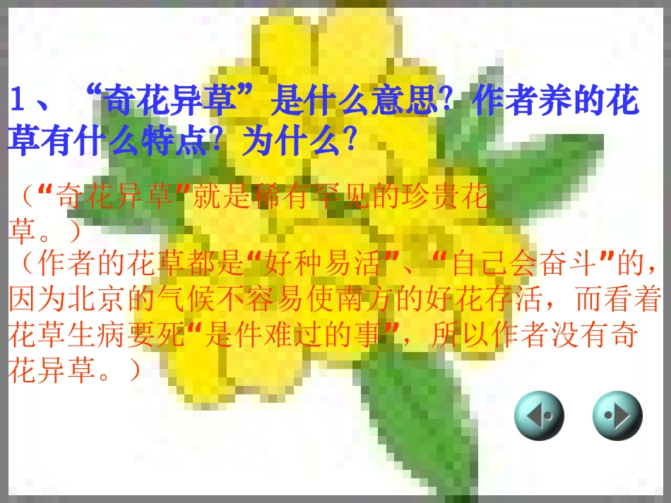 《养花》教学课件_第3页