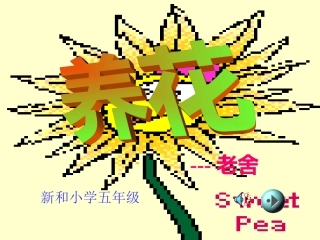 《养花》教学课件