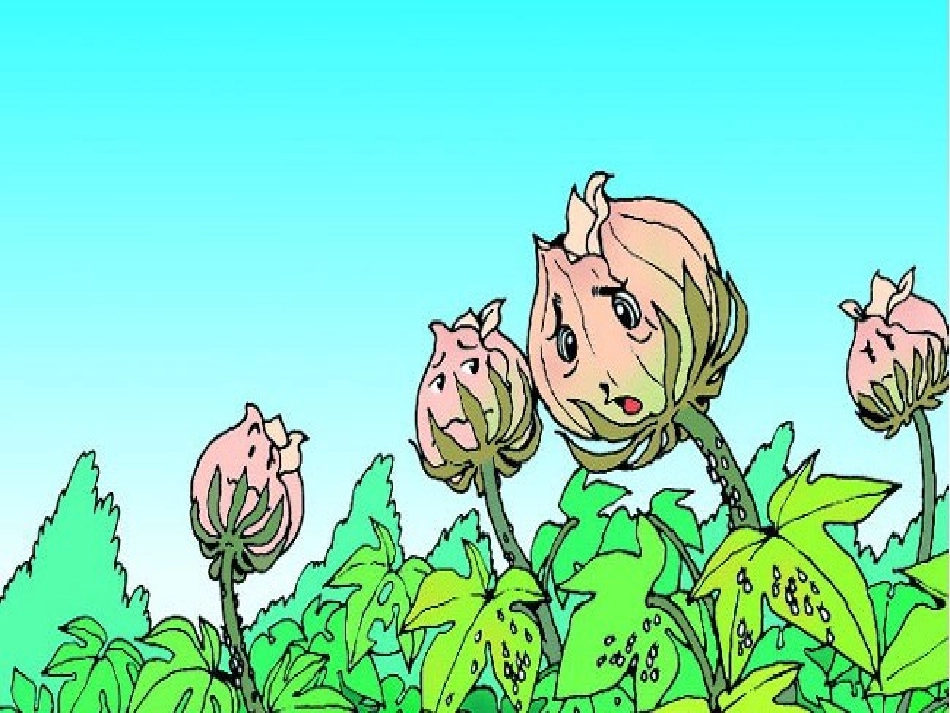棉花姑娘丁若娟大流小学校小学语文_第3页