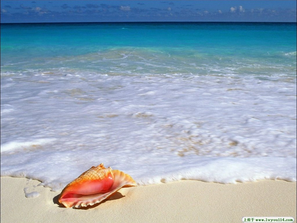 《我爱大海课件_第3页