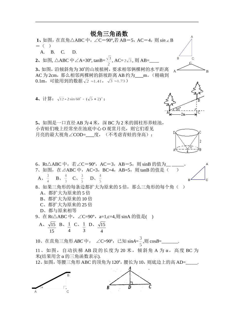 初中数学总复习三角函数_第1页