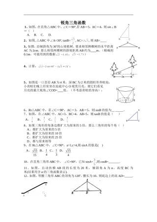 初中数学总复习三角函数