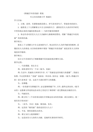《跨越百年的美丽》教案 (2)