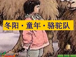 人教新课标五年级语文下册《冬阳童年骆驼队_2》PPT课件