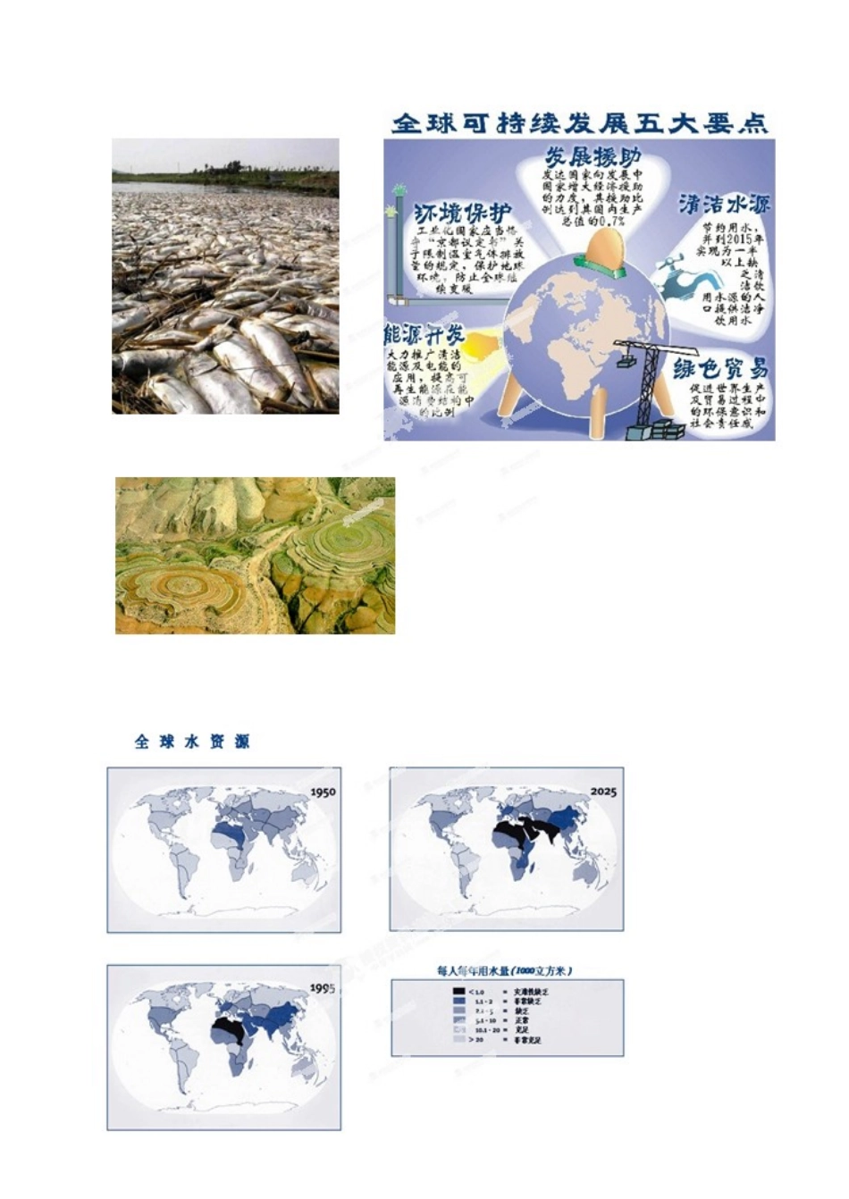 浙江省温岭市城南中学九年级科学下册《4.3 实现可持续发展》教案 浙教版_第2页