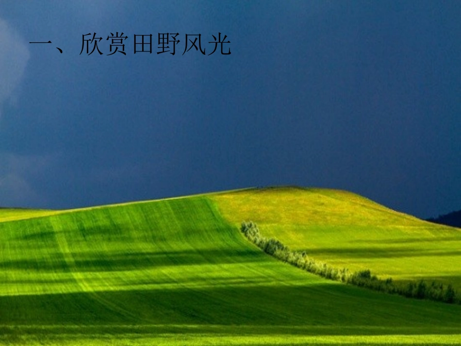 （课件评比）田野的色彩王新和_第2页