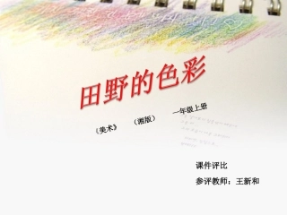 （课件评比）田野的色彩王新和