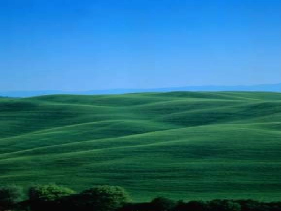 《草原》课件 (3)_第3页