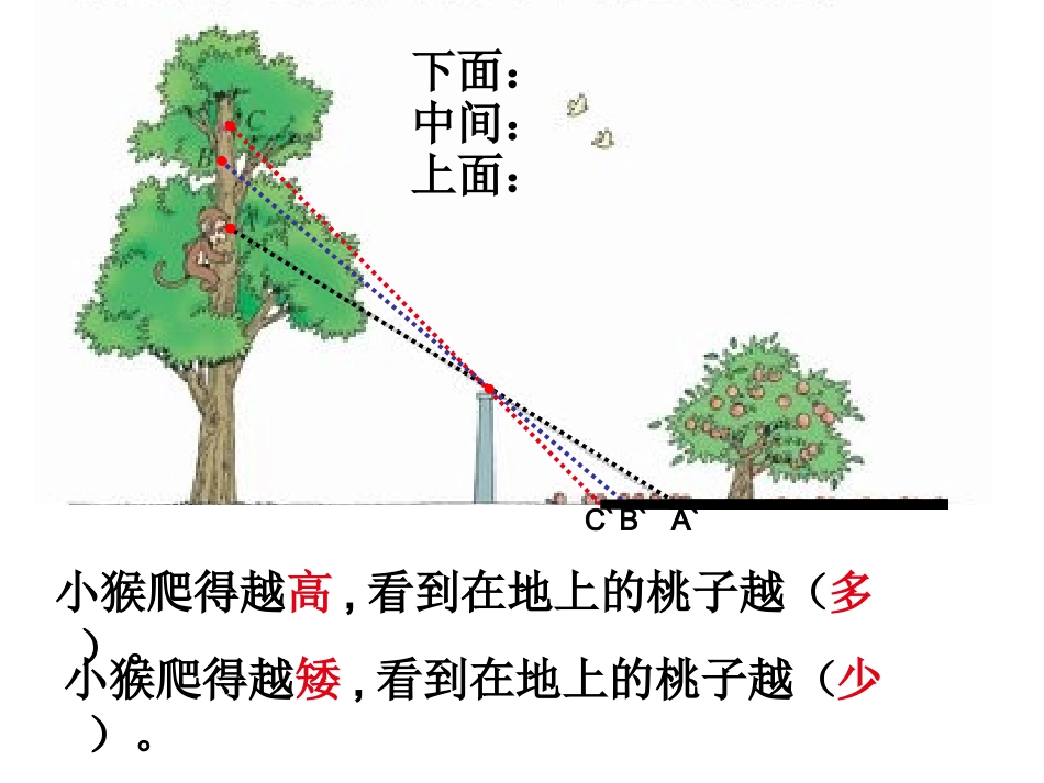 北师大版数学六年级上册《观察的范围》课件_第3页
