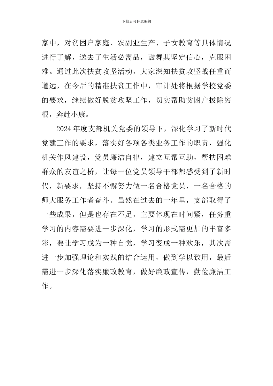 2024年财务审计党支部党建工作总结_第3页