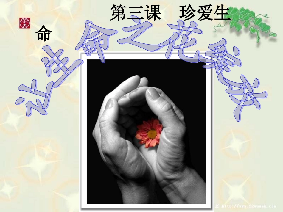 让生命之花绽放PPT_第1页