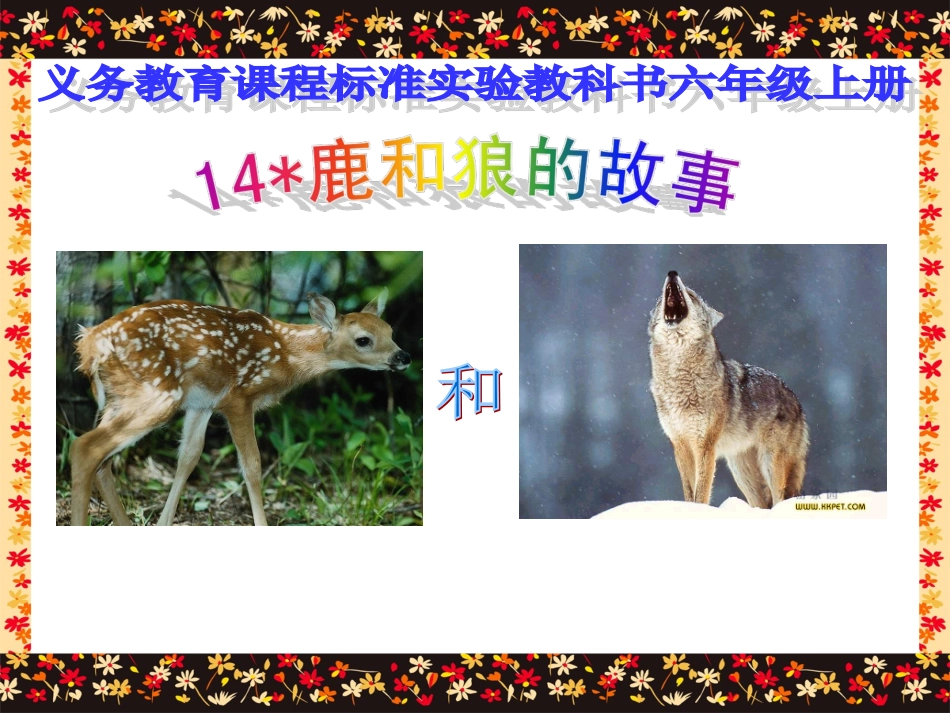 《鹿和狼的故事》课件_第1页