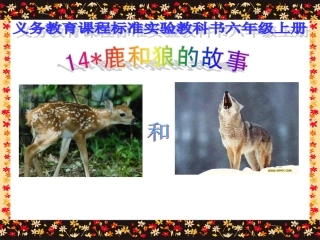 《鹿和狼的故事》课件