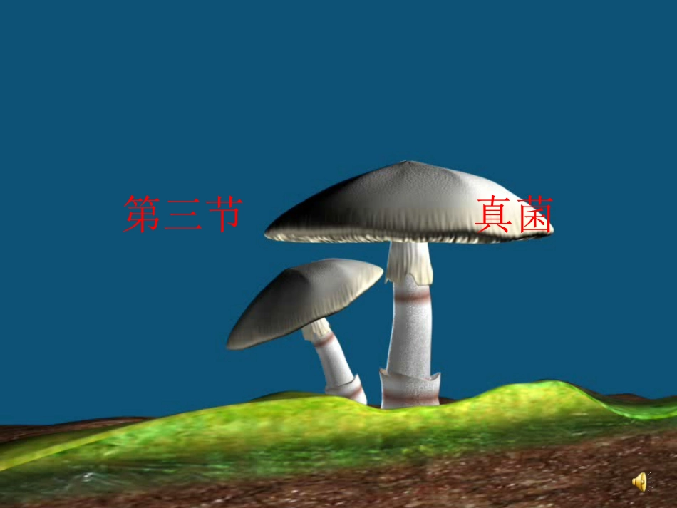 八年级生物上册第四章第三节真菌_第1页