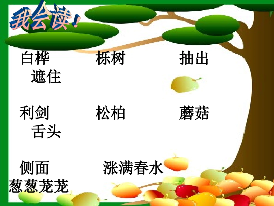 美丽的小兴安岭课件1(1)_第2页