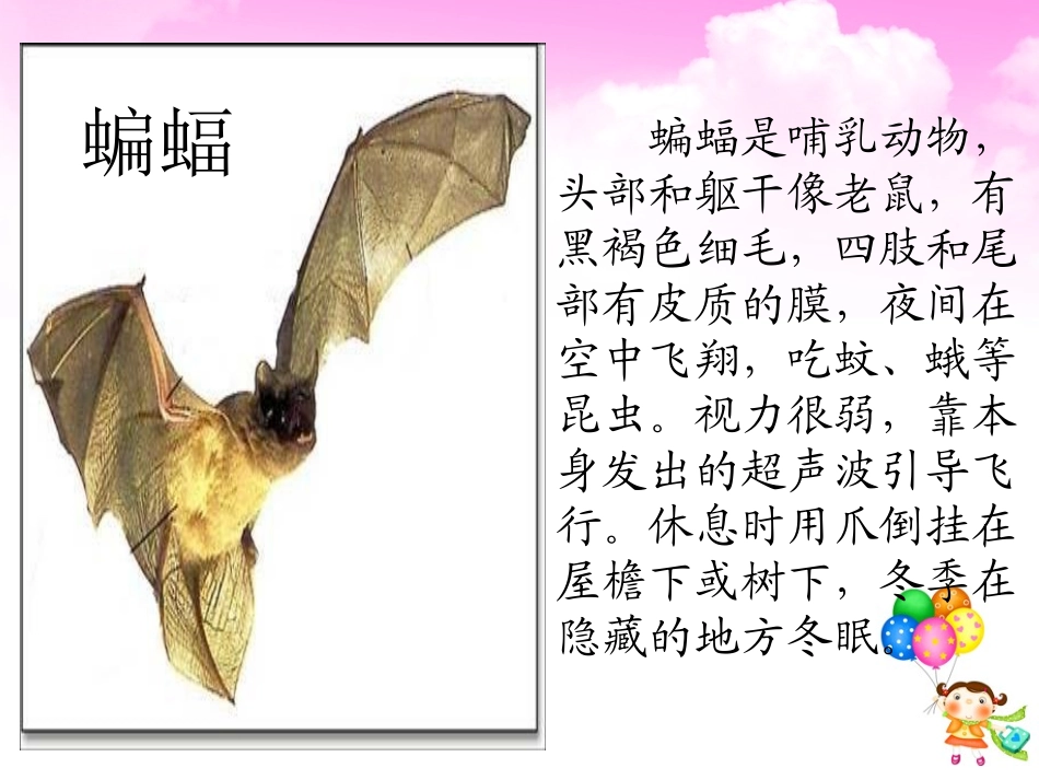 、蝙蝠和雷达_第1页