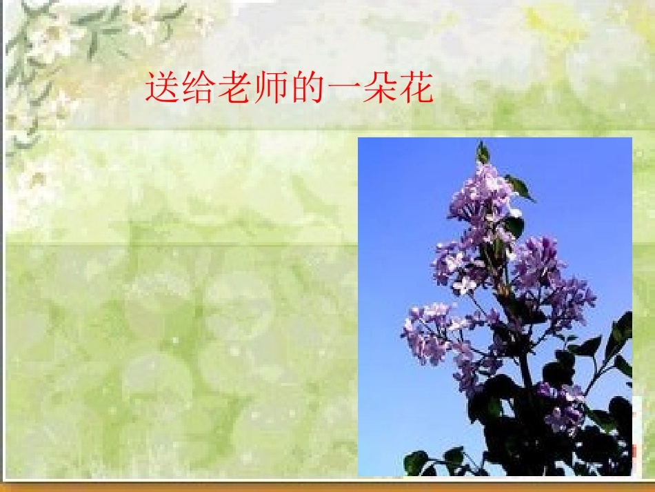 小学品德与社会PPT_第1页