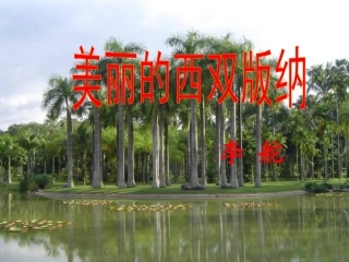 美丽的西双版纳 (2)