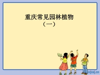 重庆常见园林植物