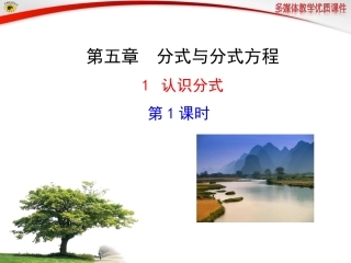 认识分式第课时