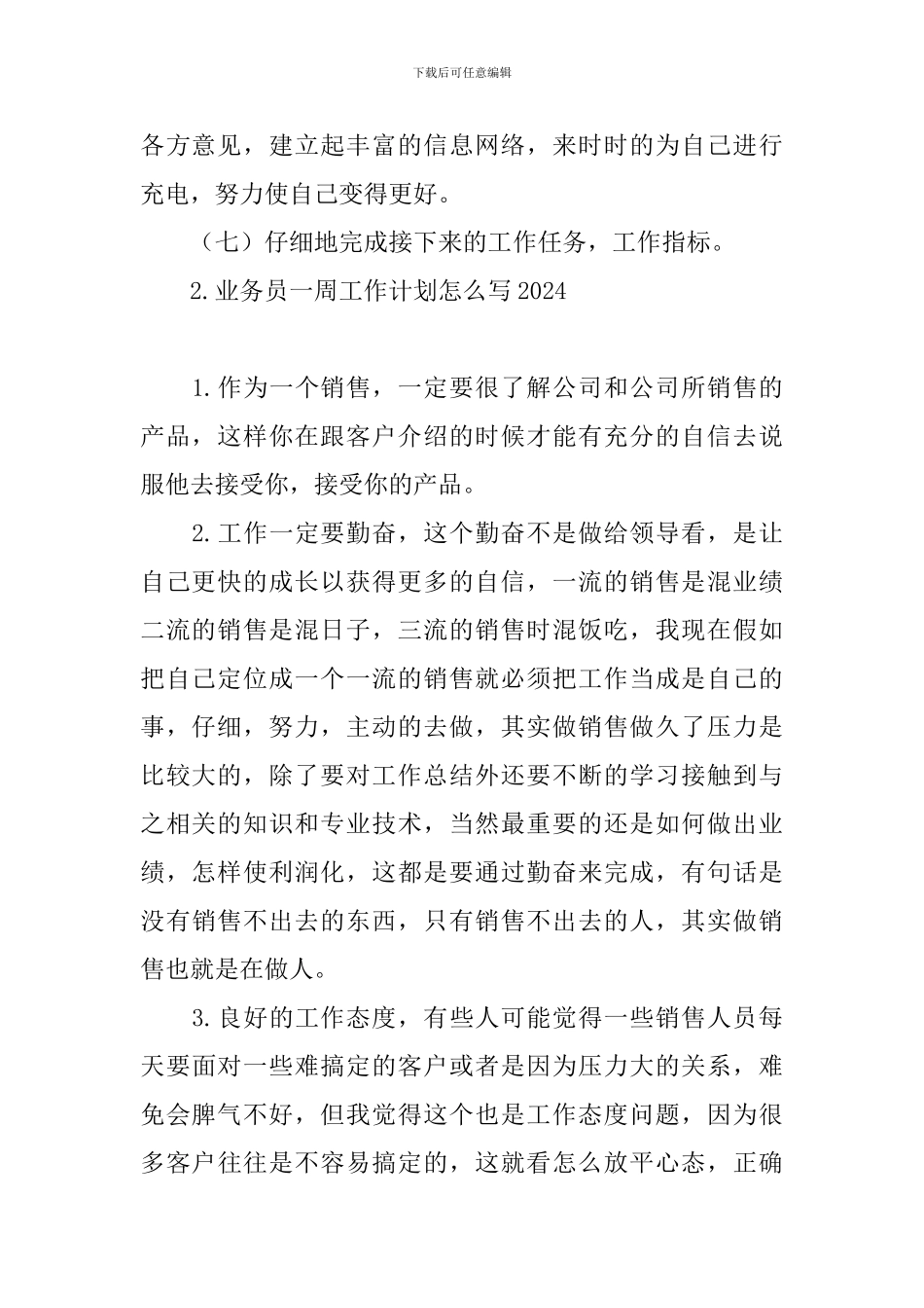 业务员一周工作计划怎么写2024_第2页