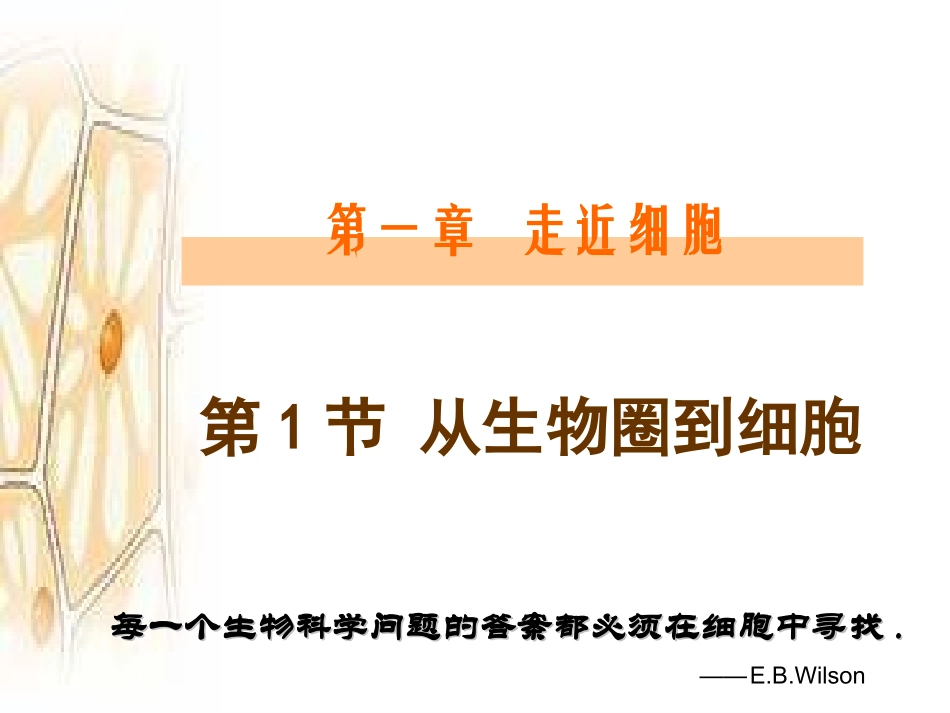 从生物圈到细胞_第3页