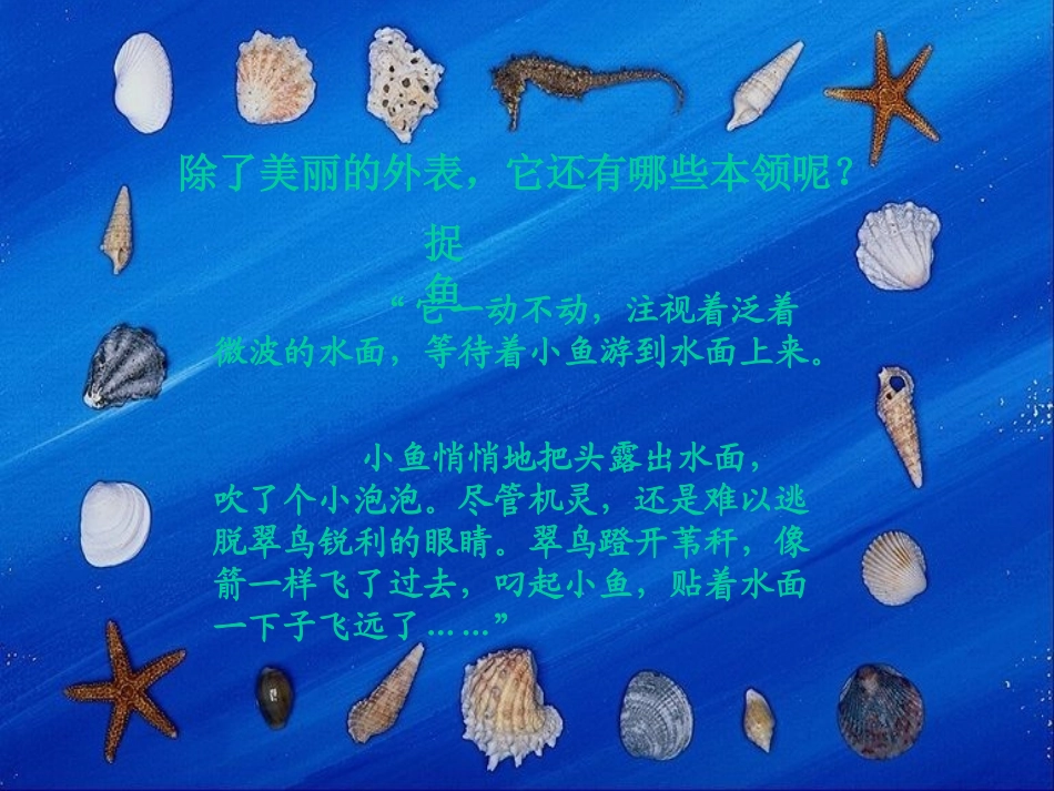 《翠鸟》课件1_第3页