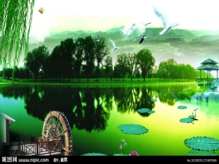 《大自然的语言》