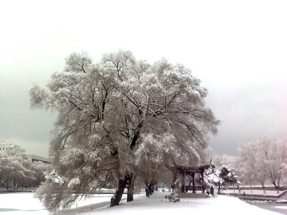 《林教头风雪山神庙》1教学课件_第1页