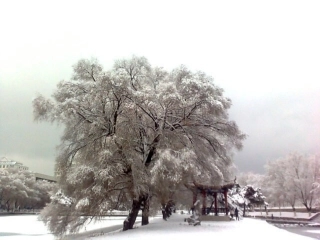 《林教头风雪山神庙》1教学课件