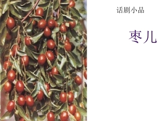 《枣儿》课件2
