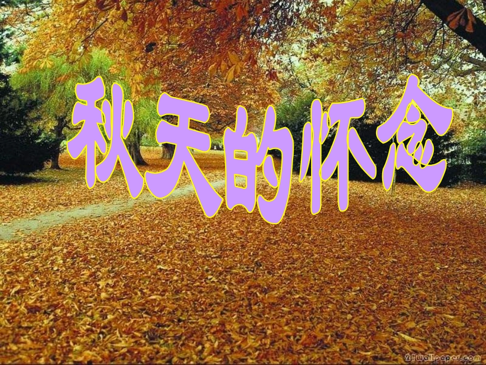 秋天的怀念课件_第1页