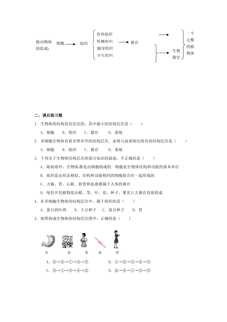 秋七年级科学上册 2.3《生物体的结构层次》教案 浙教版-浙教版初中七年级上册自然科学教案_第3页