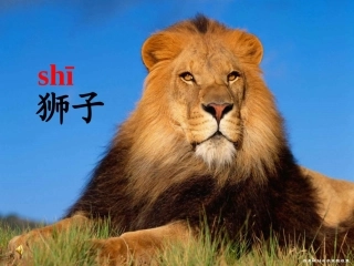 《两只小狮子》课件 (3)
