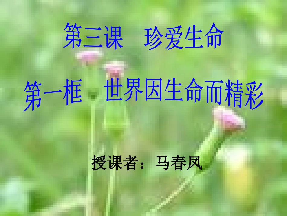 世界因生命而精彩1_第1页